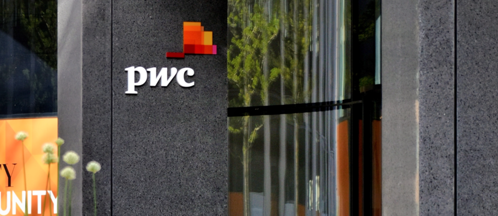 pwc: Konsultant u reviziji